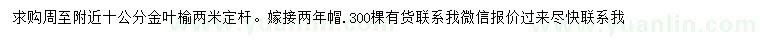 求購10公分金葉榆