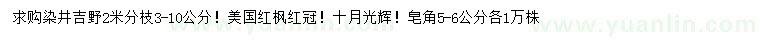 求購(gòu)染井吉野、美國(guó)紅楓、十月光輝等