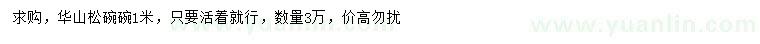 求購1米華山松