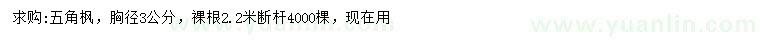 求購胸徑3公分五角楓
