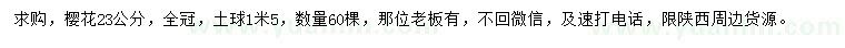 求購23公分櫻花