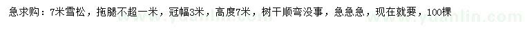 求購7米雪松