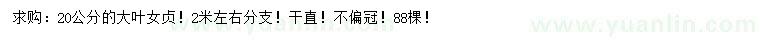求購20公分大葉女貞