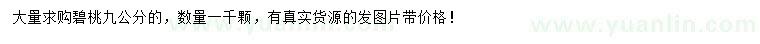 求購(gòu)9公分碧桃