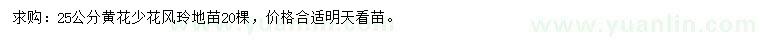 求購25公分黃花少花風(fēng)玲地苗