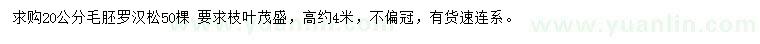 求購20公分羅漢松