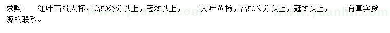 求購高50公分以上紅葉石楠、大葉黃楊