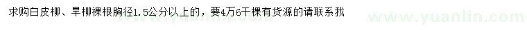 求購(gòu)胸徑1.5公分以上白皮柳、旱柳