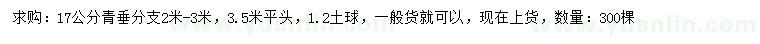 求購(gòu)17公分青垂