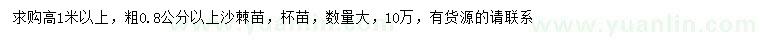 求購粗0.8公分以上沙棘苗