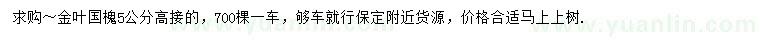 求購(gòu)5公分高接金葉國(guó)槐