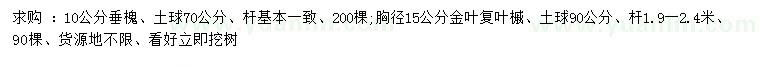 求購(gòu)10公分垂槐、胸徑15公分金葉復(fù)葉槭