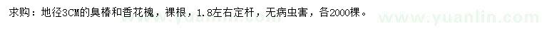 求購地徑3公分臭椿、香花槐