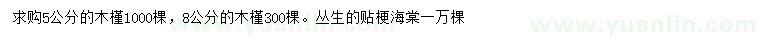 求購5、8公分木槿、叢生貼梗海棠