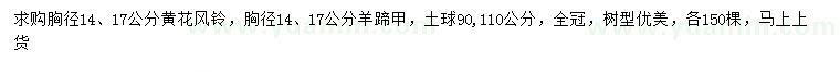 求購胸徑14、17公分黃花風鈴、羊蹄甲