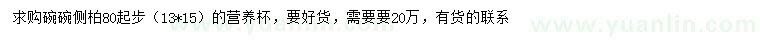 求購80公分起步側(cè)柏