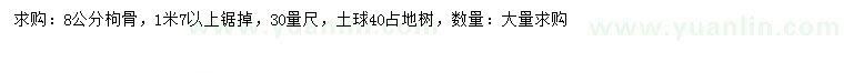 求購(gòu)8公分枸骨