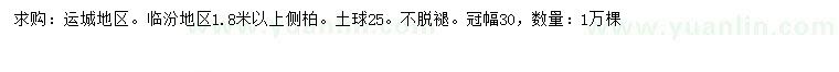 求購1.8米以上側(cè)柏