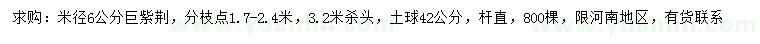 求購米徑6公分巨紫荊