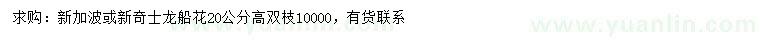 求購高20公分新加波或新奇士龍船花