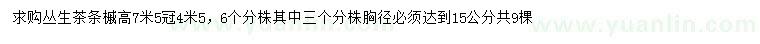 求購胸徑15公分叢生茶條槭