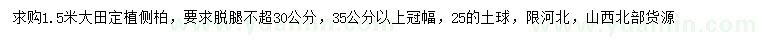 求購1.5米側(cè)柏