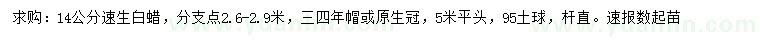 求購14公分速生白蠟