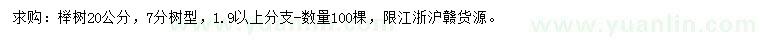 求購20公分櫸樹
