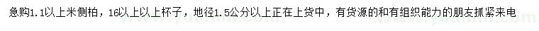 求購地徑1.5公分以上米側(cè)柏