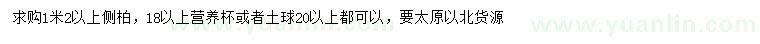 求購(gòu)1.2米以上側(cè)柏
