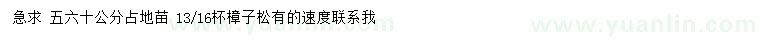 求購(gòu)50、60公分樟子松