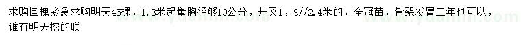 求購1.3米量胸徑10公分國槐