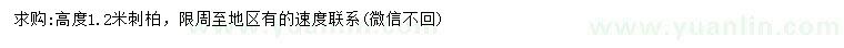 求購高1.2米刺柏