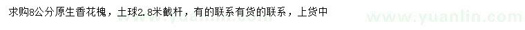 求購(gòu)8公分香花槐