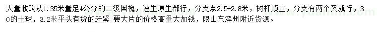 求購1.35米量足4公分國(guó)槐