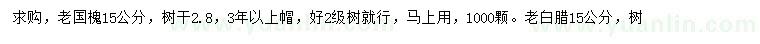 求購15公分老國槐、老白蠟