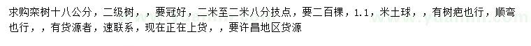 求購18公分欒樹