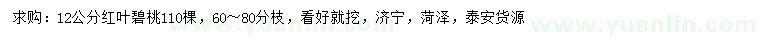 求購12公分紅葉碧桃