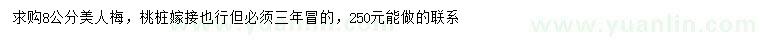 求購8公分美人梅