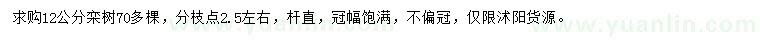 求購12公分欒樹