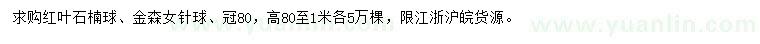 求購冠幅80公分紅葉石楠球、金森女針球