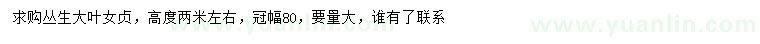 求購高2米左右叢生大葉女貞
