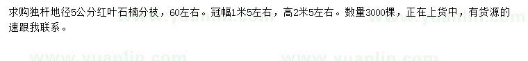 求購地徑5公分紅葉石楠