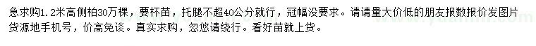 求購高1.2米側(cè)柏