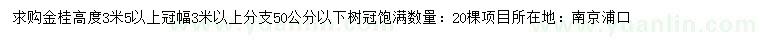 求購(gòu)高3.5米以上金桂