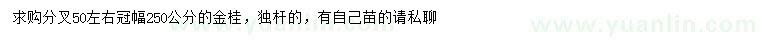 求購(gòu)冠幅250公分金桂