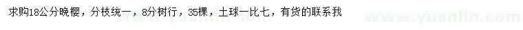 求購18公分晚櫻
