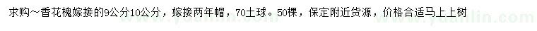 求購9、10公分香花槐