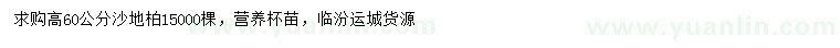 求購高60公分沙地柏
