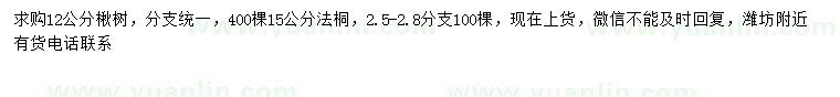 求購12公分楸樹、15公分法桐